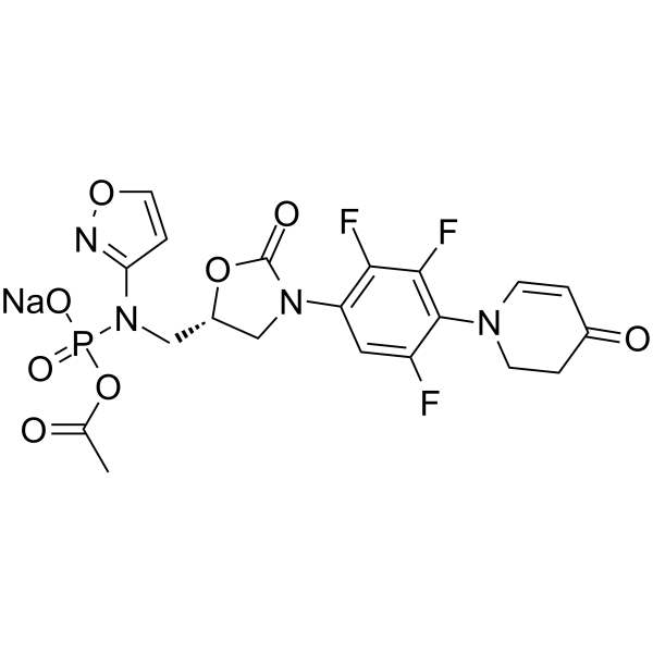 Contezolid acefosamil sodium