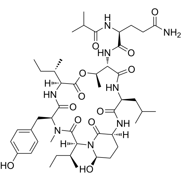 KLK7/ELA2-IN-1