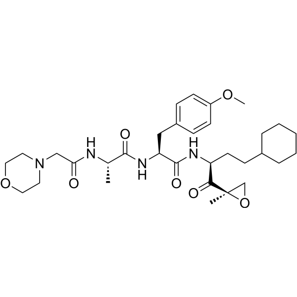 Proteasome β2c/i-IN-1