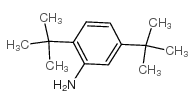 2,5-二叔丁基苯胺