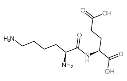 L-赖氨酸-L-谷氨酸盐