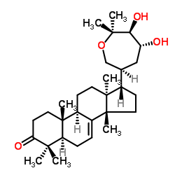 鬃毛酮