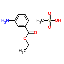 3-乙氧酰基苯胺甲磺酸盐