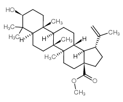 桦木酸甲酯