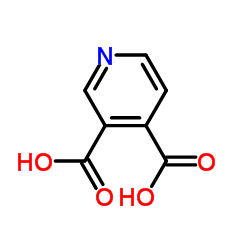 吡啶-3,4-二羧酸