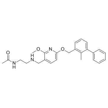 BMS202(PD-1/PD-L1抑制剂2)