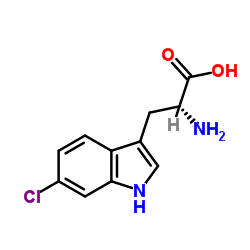 6-氯D-色氨酸