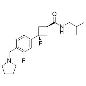 H3受体拮抗剂1