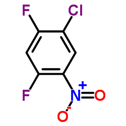 1-氯-2,4-二氟-5-硝基苯