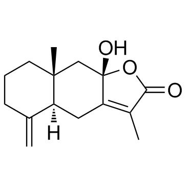 白术内酯III； 苍术内酯III