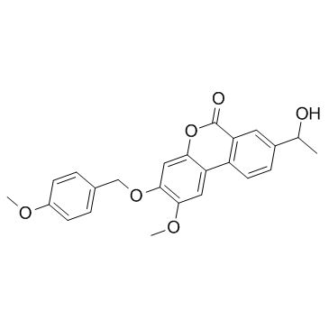 Palomid 529