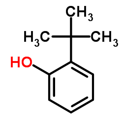 邻叔丁基苯酚