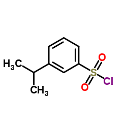 3-异丙基苯磺酰氯