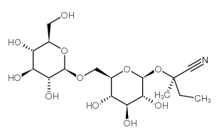 新亚麻氰苷