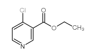 乙基 4-氯吡啶-3-甲酸基酯