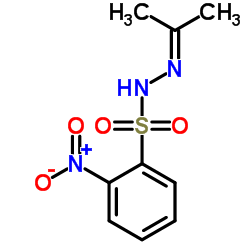 2-硝基-N'-(2-亚丙基)-苯磺酰肼