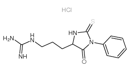 苯基硫代乙内酰脲-精氨酸盐酸盐