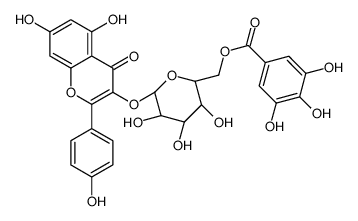 山奈酚 3-O-(6''-没食子酰基)-beta-D-吡喃葡萄糖苷