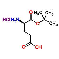 H-D-GLU-OTBU HCL