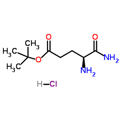 4,5-二氨基-5-氧代戊酸叔丁酯单盐酸盐