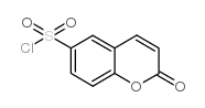 香豆素-6-磺酰氯