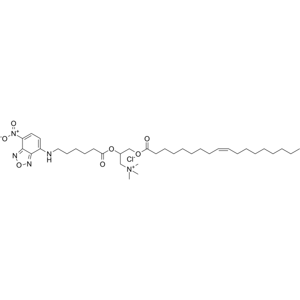 Fluorescent DOTAP