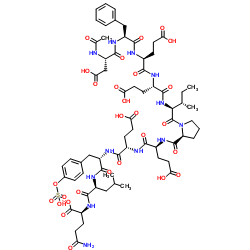 Acetyl-Hirudin (55-65) (sulfated)