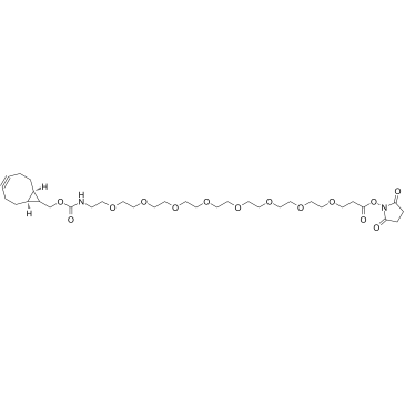 endo-BCN-PEG8-NHS ester