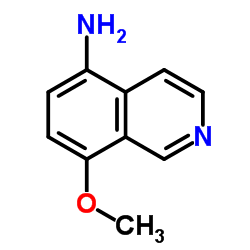 8-甲氧基异喹啉-5-胺