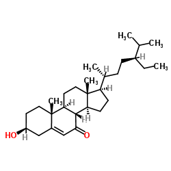 7-氧代-BETA-谷甾醇