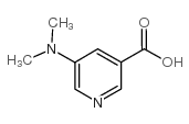 5-二甲氨基烟酸