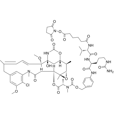 SC-VC-PAB-DM1