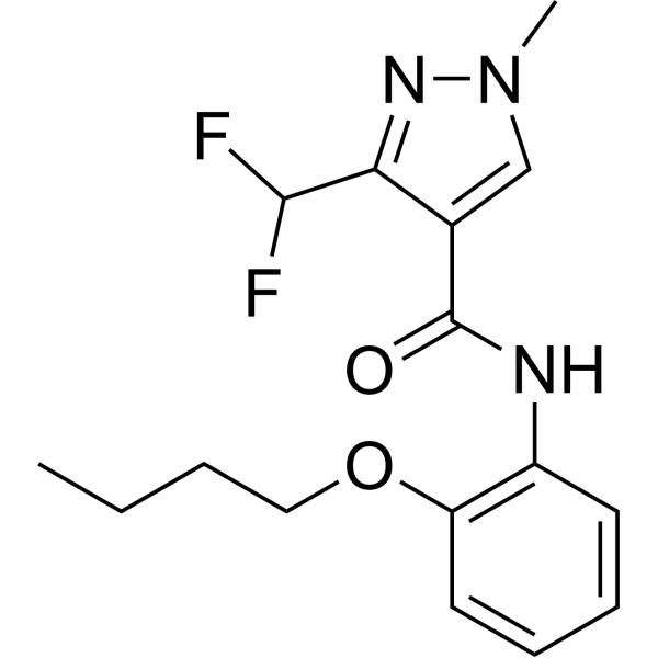 SDH-IN-5