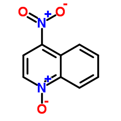 4-硝基喹啉-N-氧化物