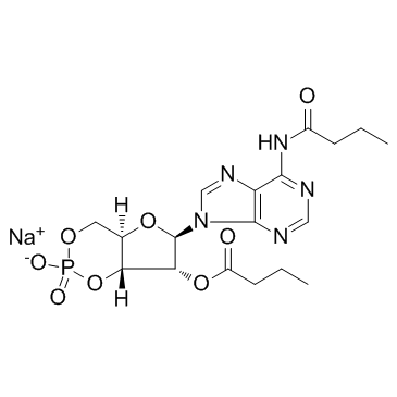 二丁酰环磷腺苷钠