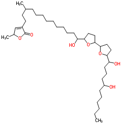 S-腺苷-L-甲硫氨酸转移酶