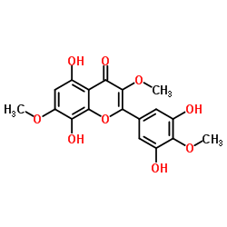 玫瑰茄红