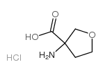 3-氨基四氢呋喃-3-羧酸盐酸盐