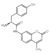 1-酪氨酸7-酰氨基-4-甲基香豆素