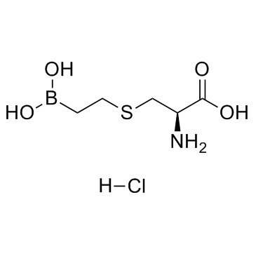 BEC盐酸盐