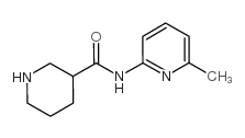 N-(6-甲基吡啶-2-基)哌啶-3-羧酰胺