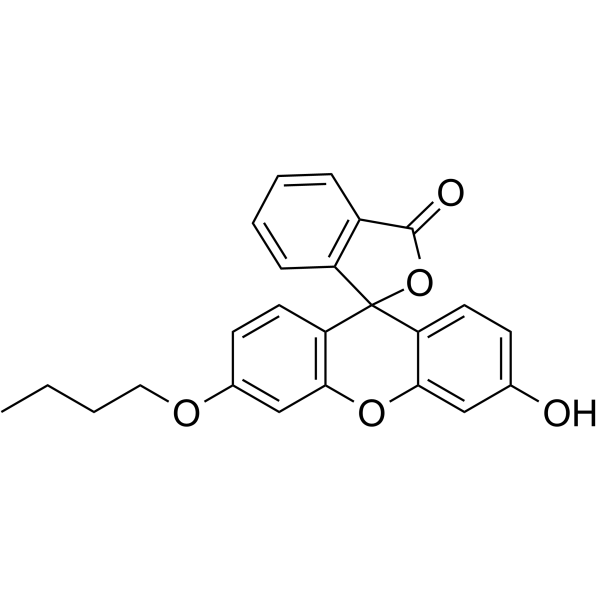 正丁基荧光素