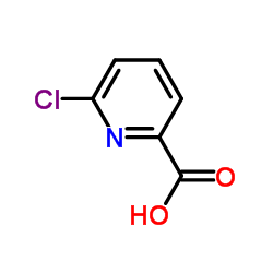 6-氯吡啶-2-羧酸