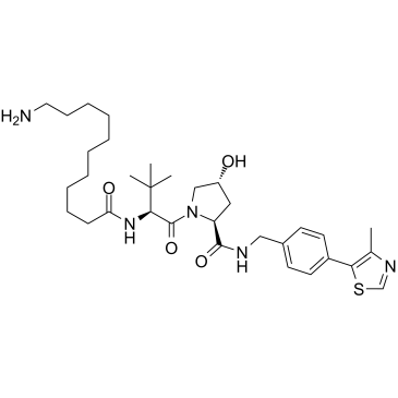 E3 ligase Ligand-Linker Conjugates 21