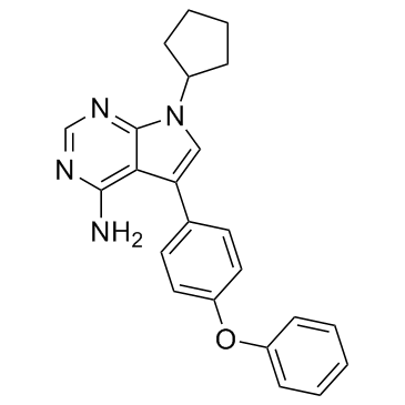 RK-24466