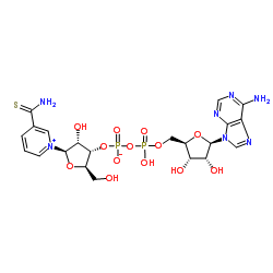 酰胺腺嘌呤二核苷酸(氧化型)