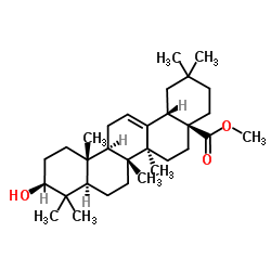 齐墩果酸甲酯