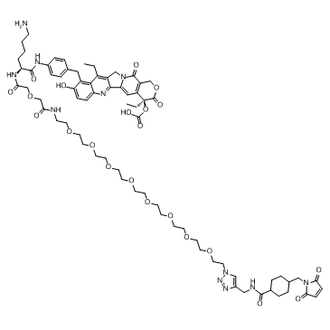 CL2A-SN-38