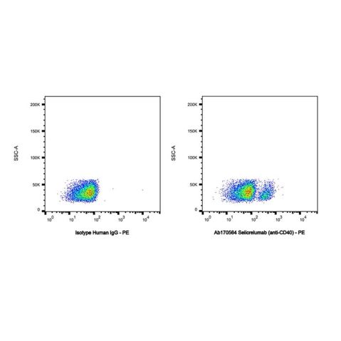 Selicrelumab