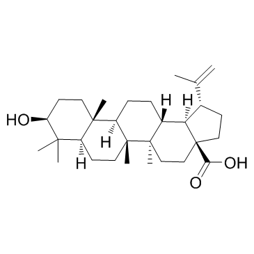 白桦脂酸